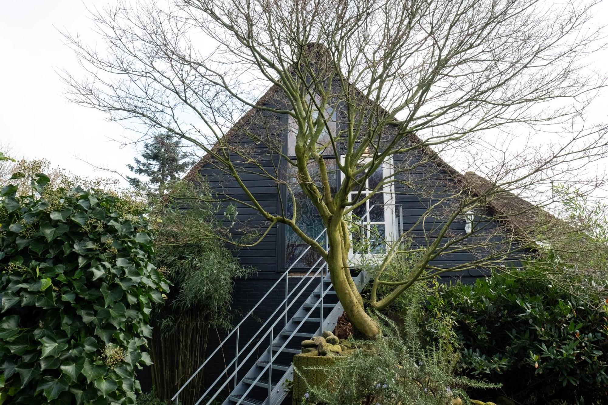 Dream Apartments Hoogwoud 外观 照片